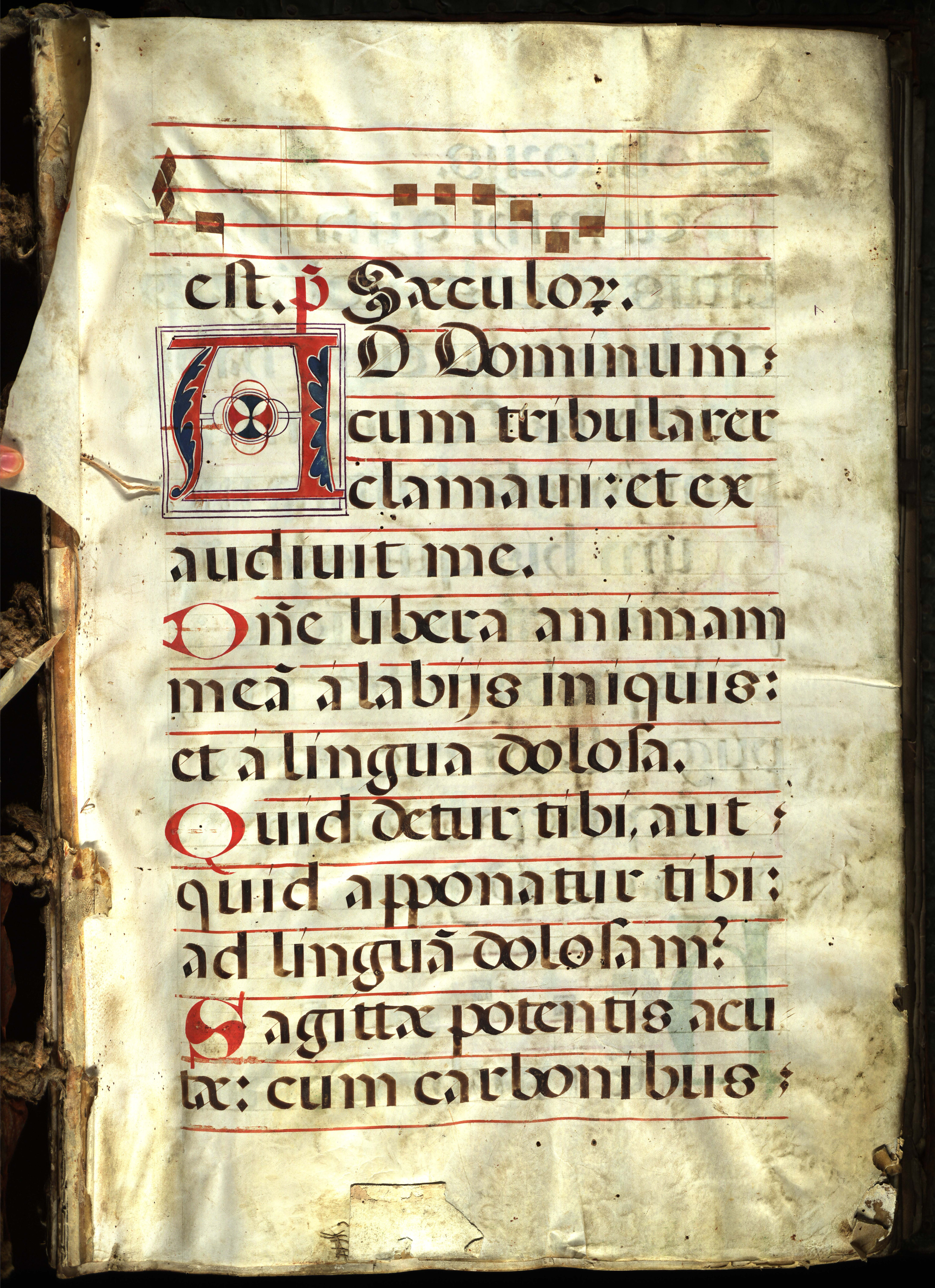 Antiphonal on vellum