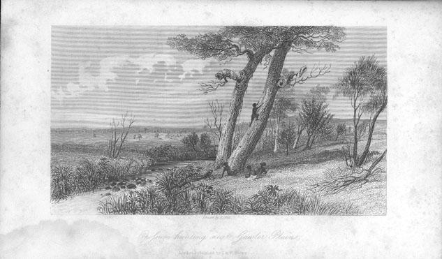 Journals of Expeditions of Discovery into Central Australia: Opossum-hunting at Gawler Plains