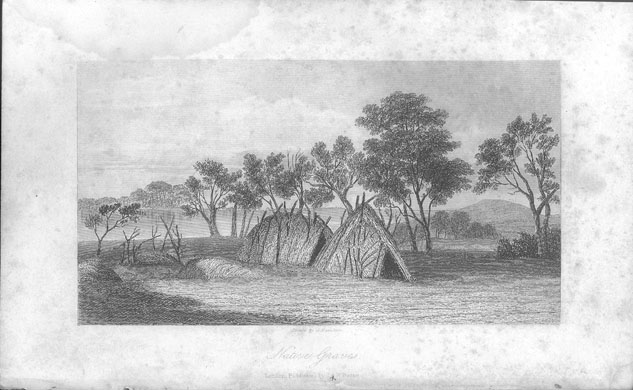 Journals of Expeditions of Discovery into Central Australia: Native Graves