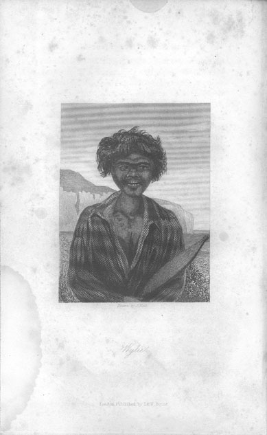 Journals of Expeditions of Discovery into Central Australia: Wylie
