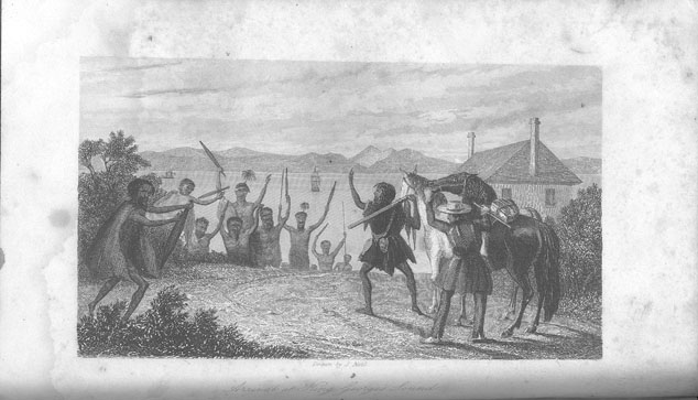 Journals of Expeditions of Discovery into Central Australia: Arrival at King George's Sound
