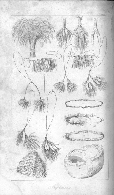 Journals of Expeditions of Discovery into Central Australia: Plate I.&mdash;Native Ornaments