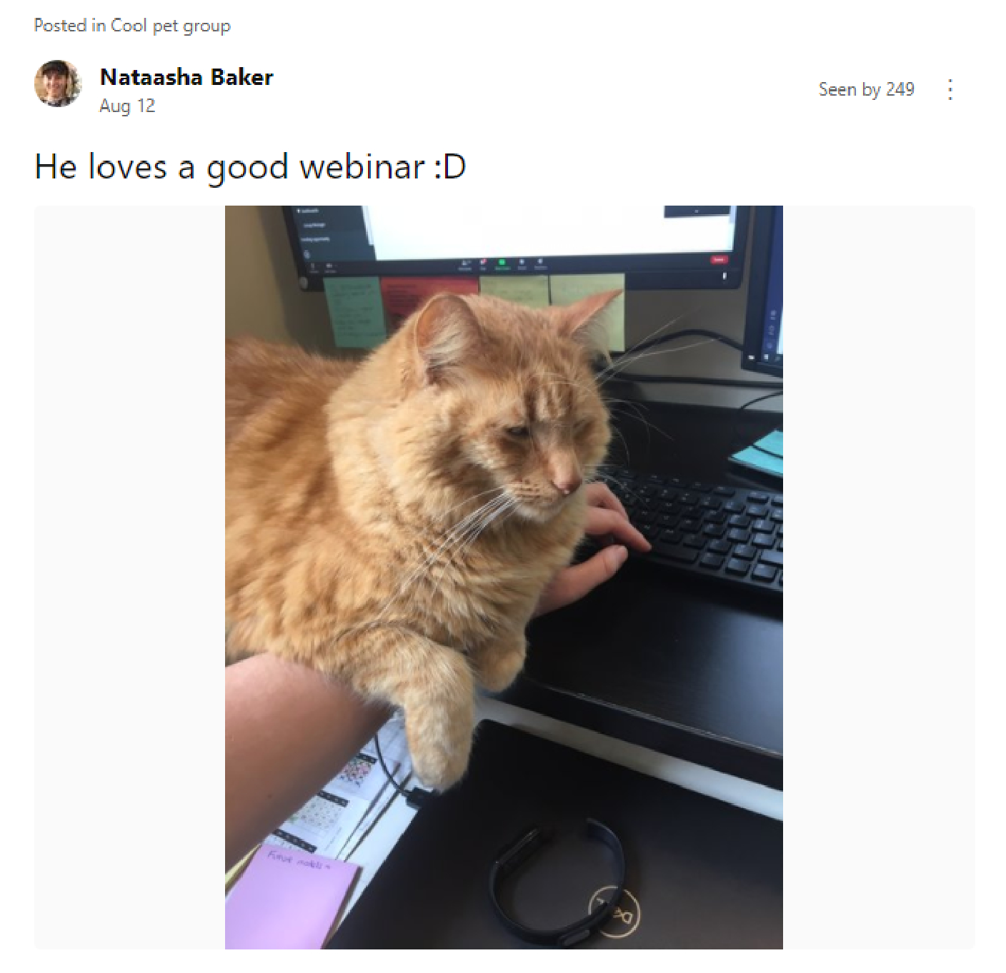 Working from home with cats