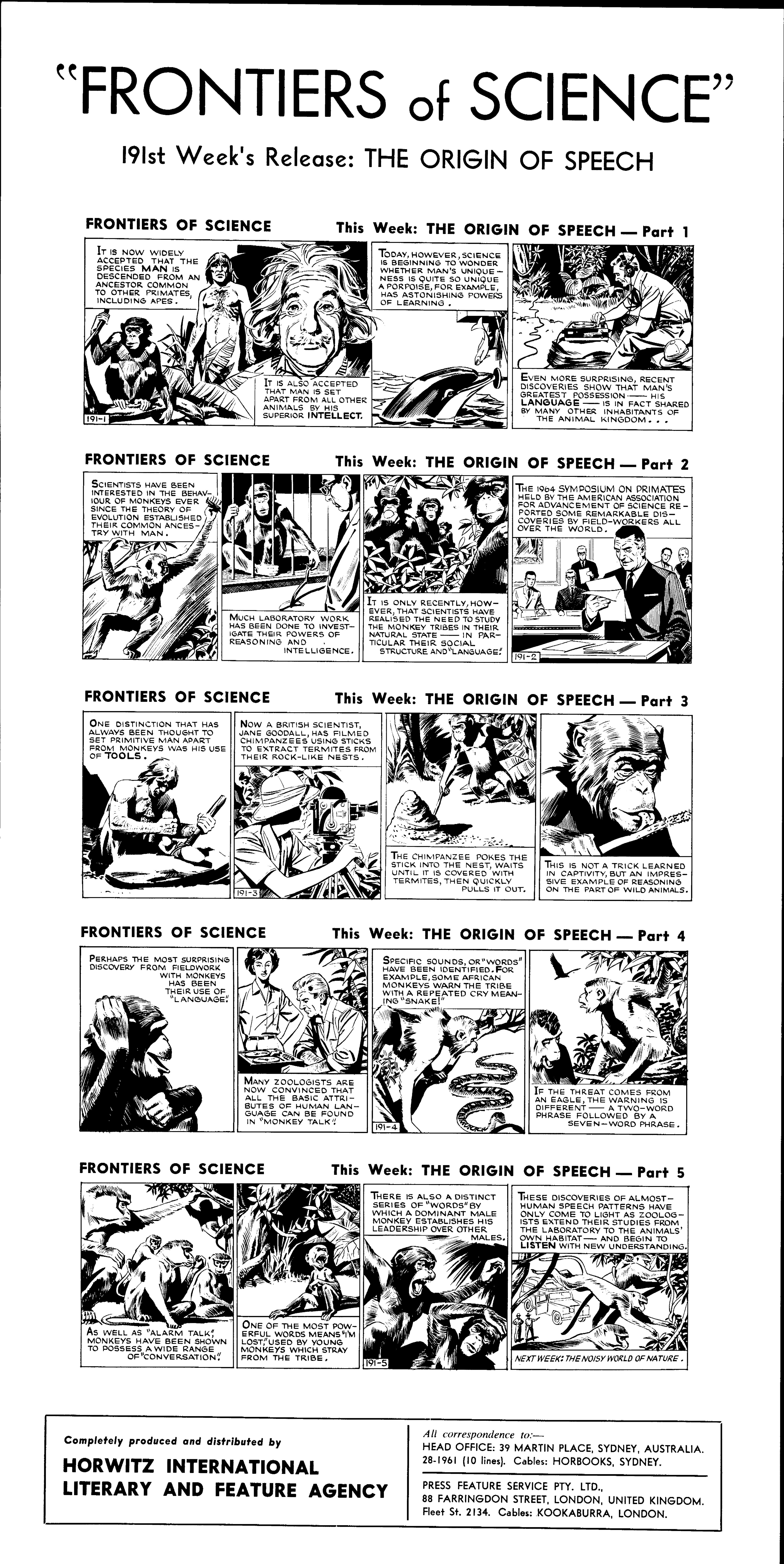 The origin of speech