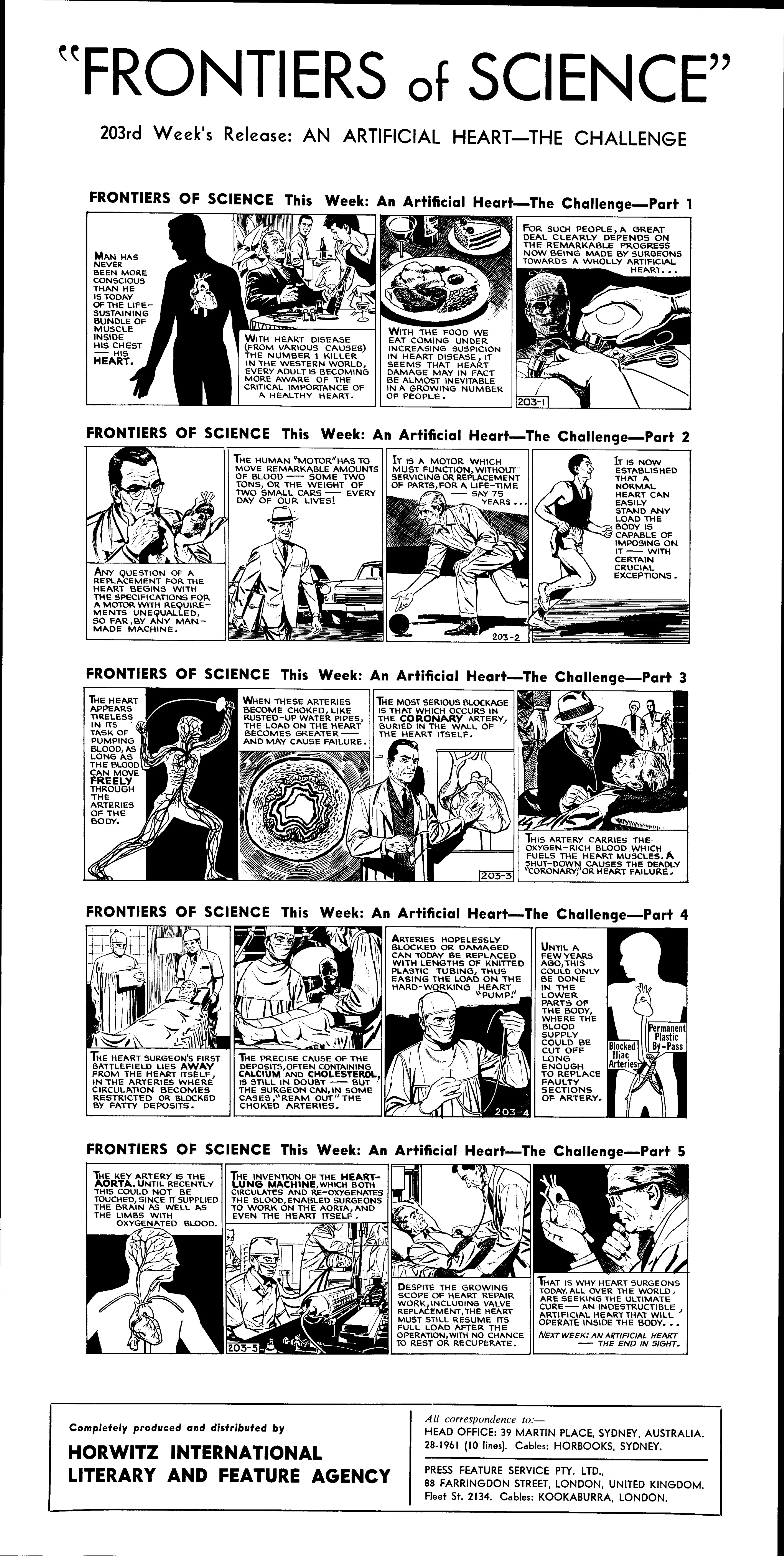 An artificial heart - the challenge