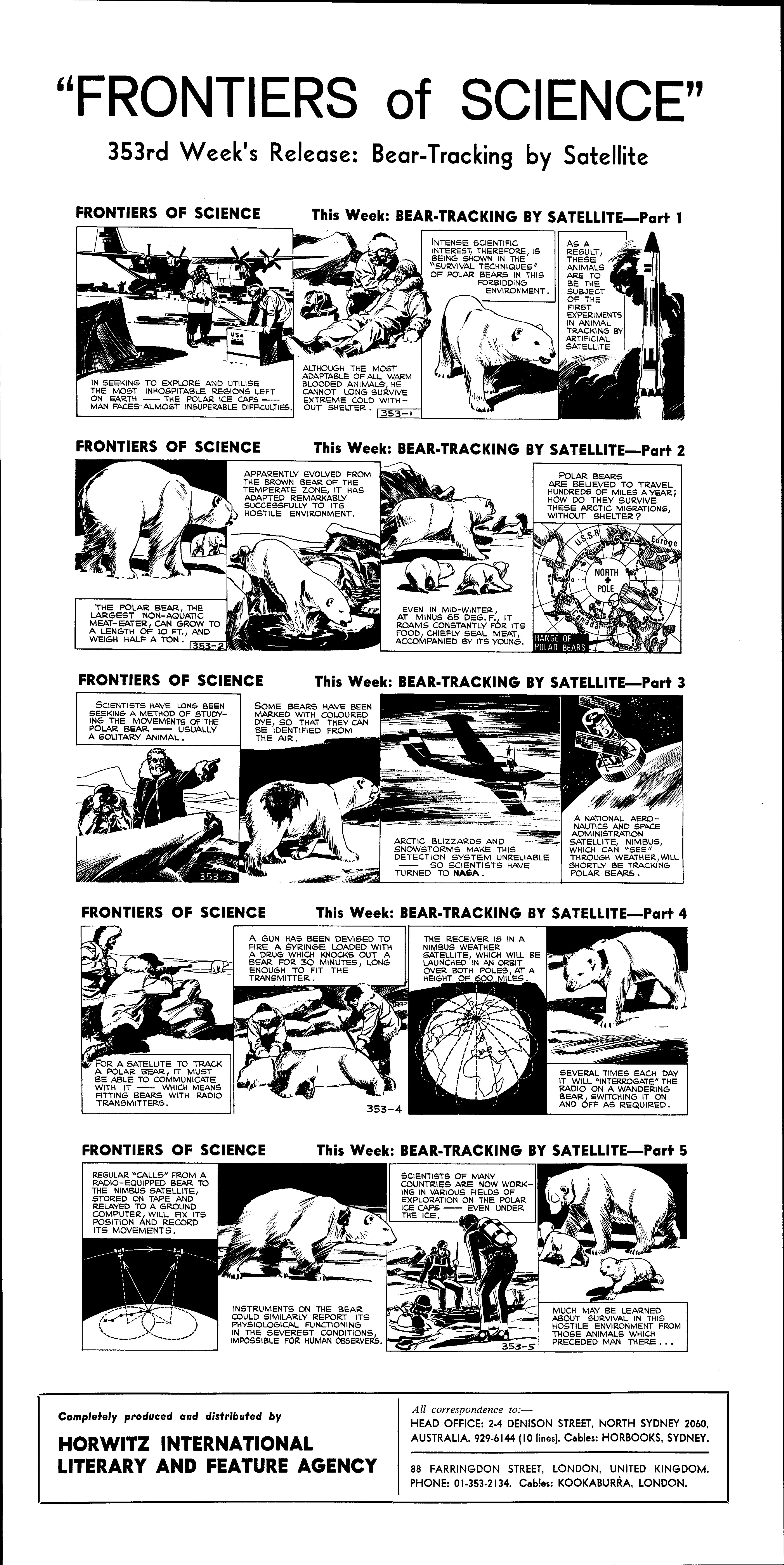 Bear tracking by satellite