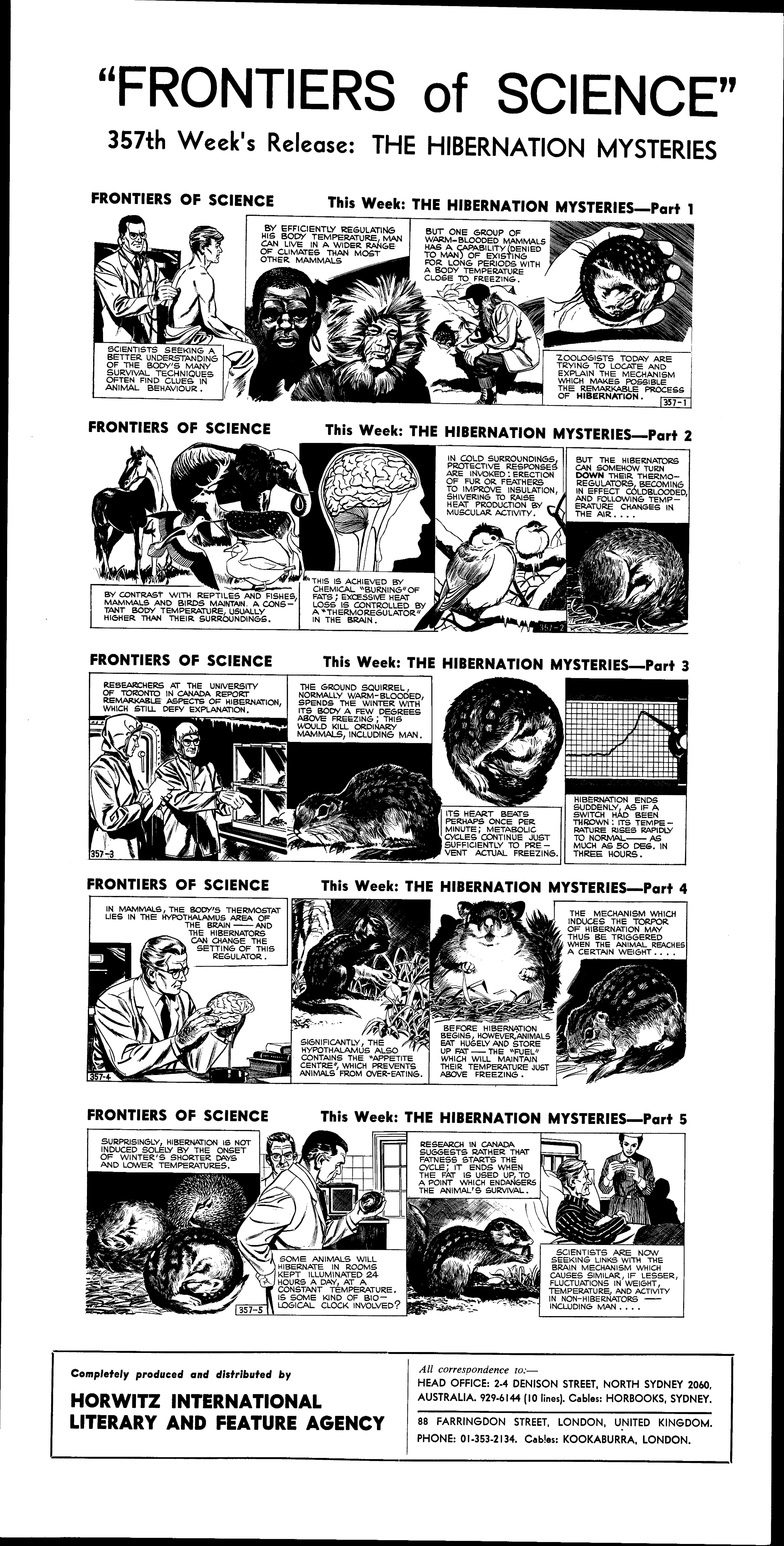 The hibernation mysteries