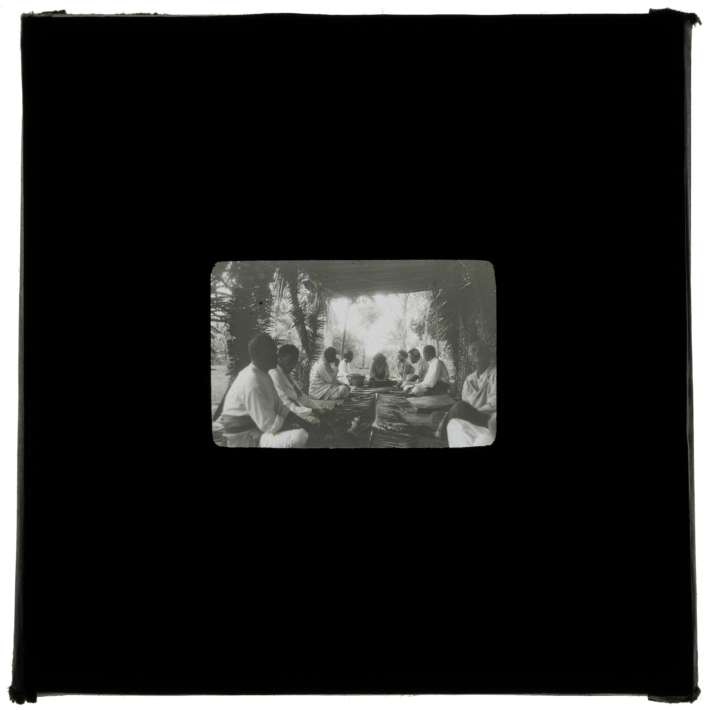 Island of Vavaʻu feast, Tonga