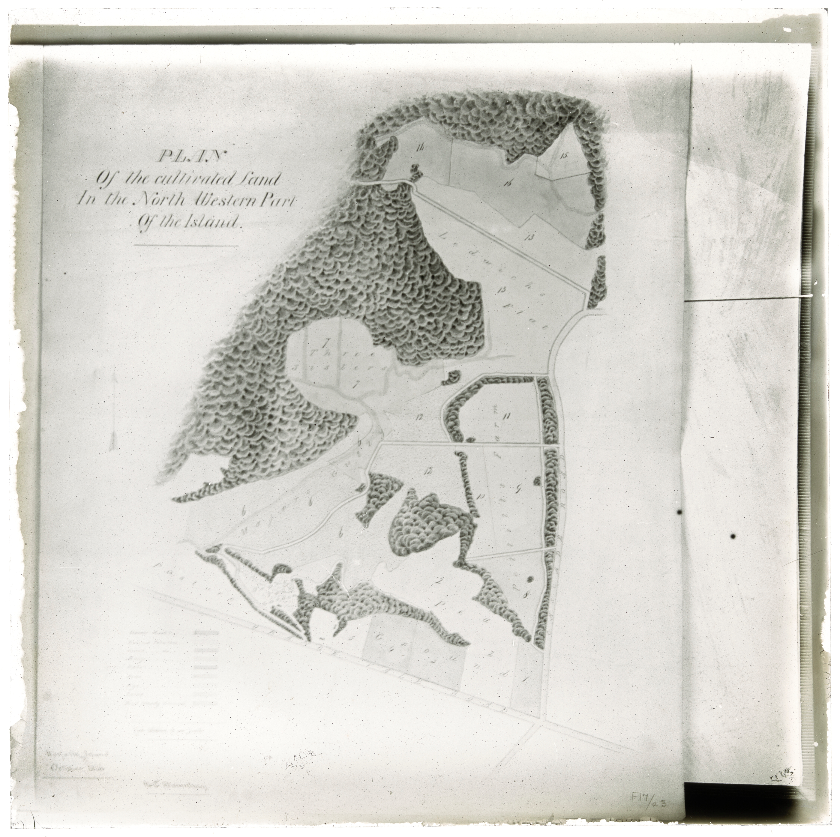 Plan of the cultivated Land In the North Western Part of the Island