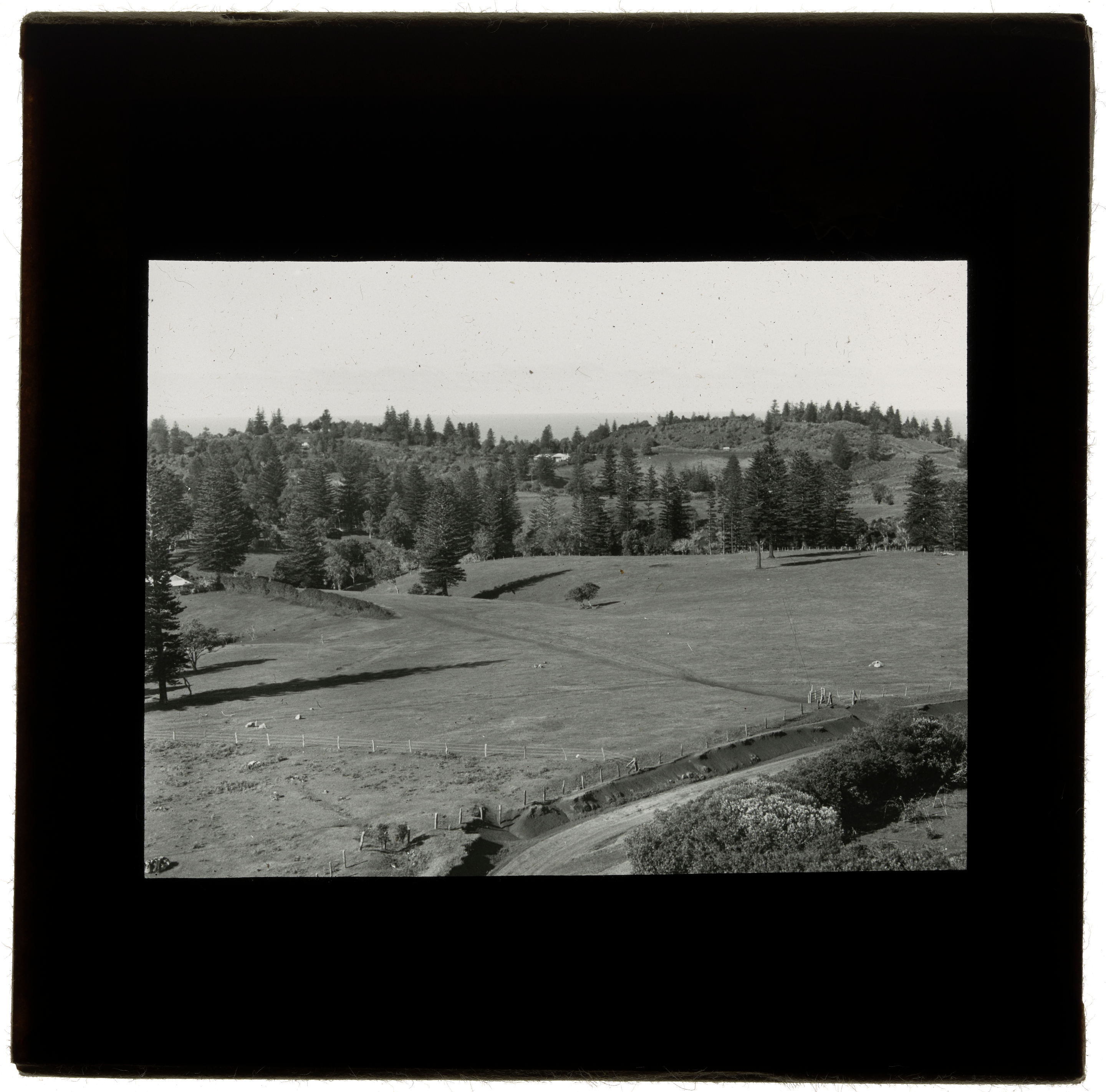 Cutter's Corn, Norfolk Island