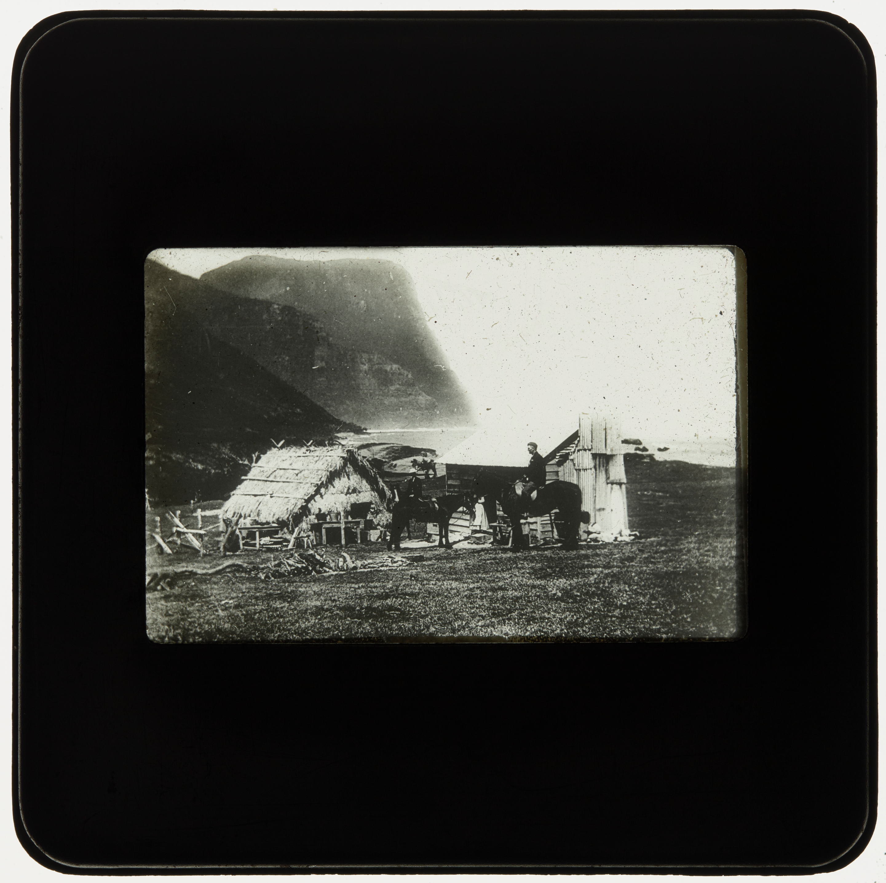 On horseback, Lord Howe Island