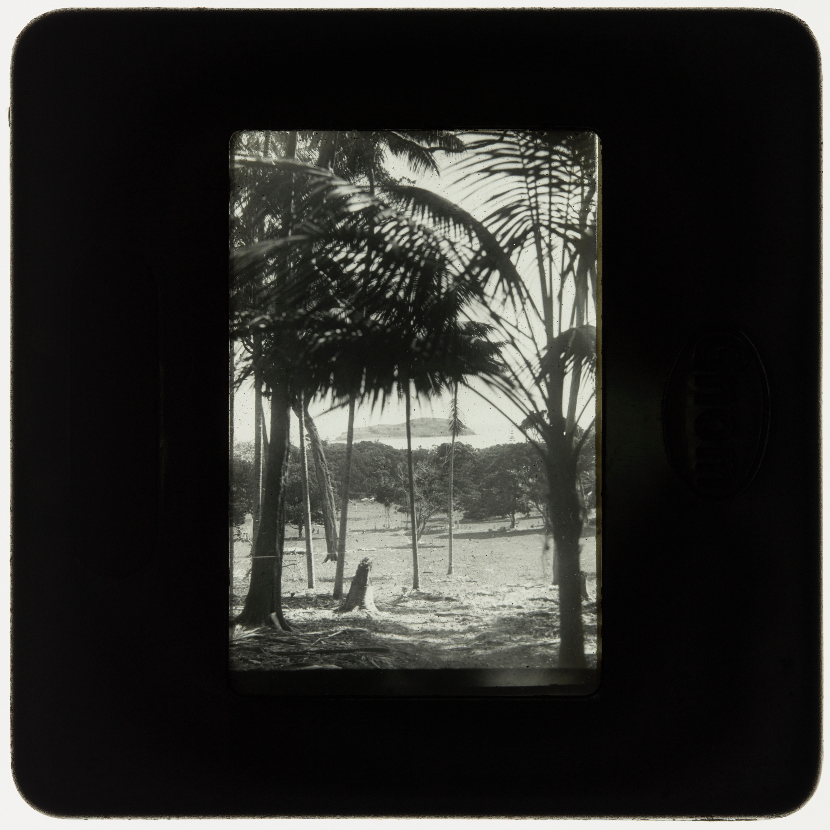 View towards Sugarloaf Island, Lord Howe Island 