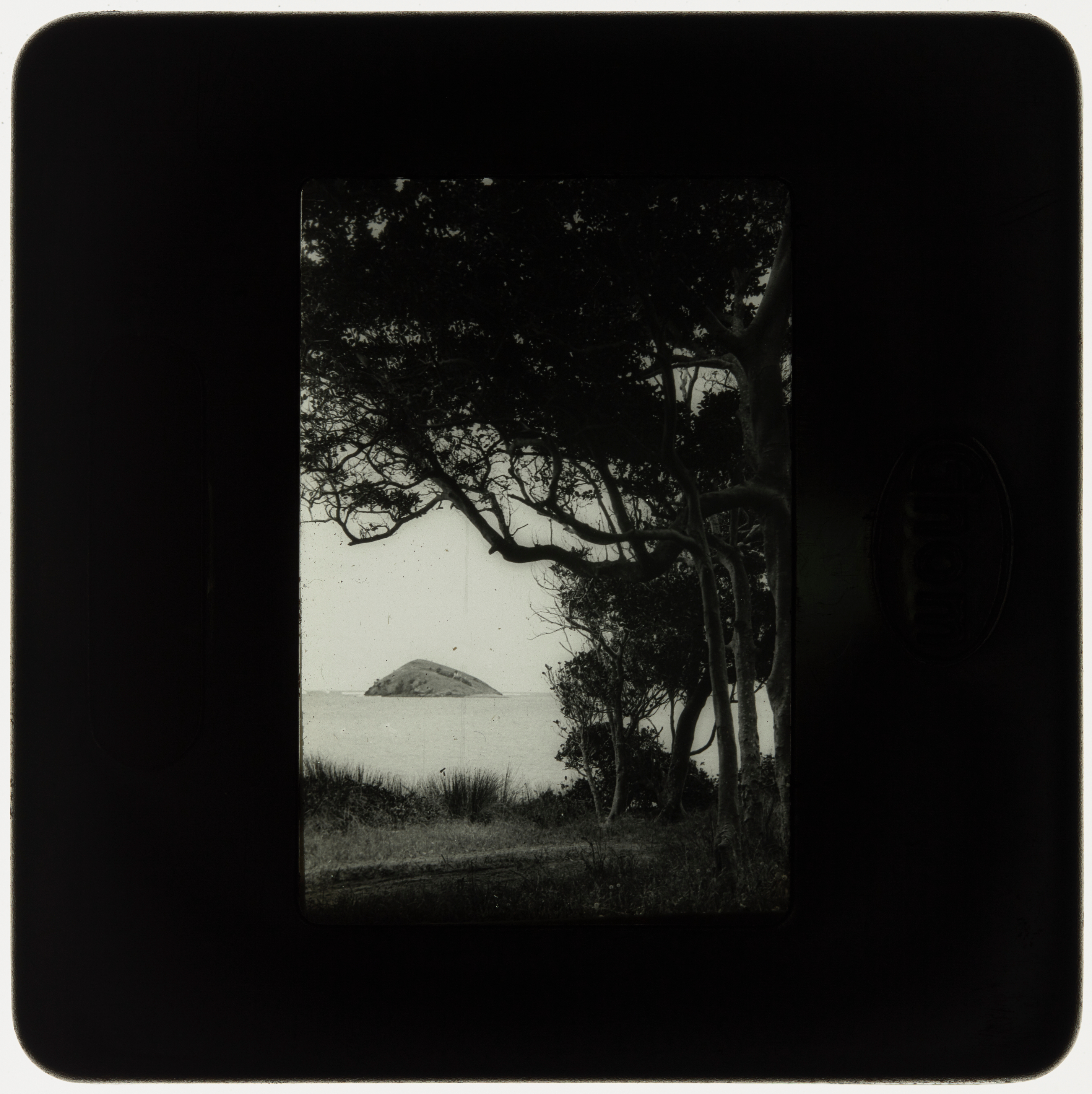 Blackburn Island, Lord Howe Island