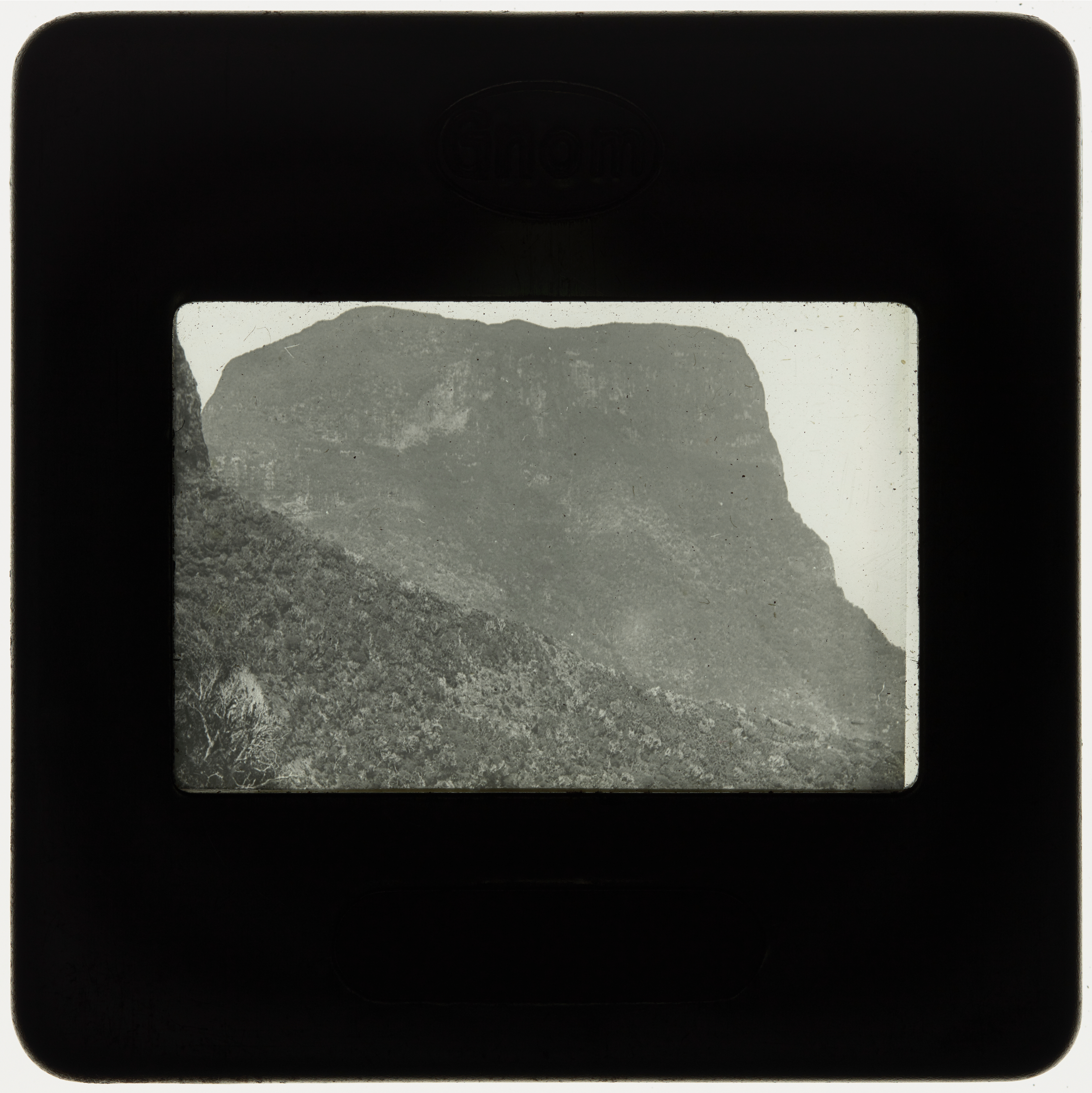 Mount Gower, Lord Howe Island