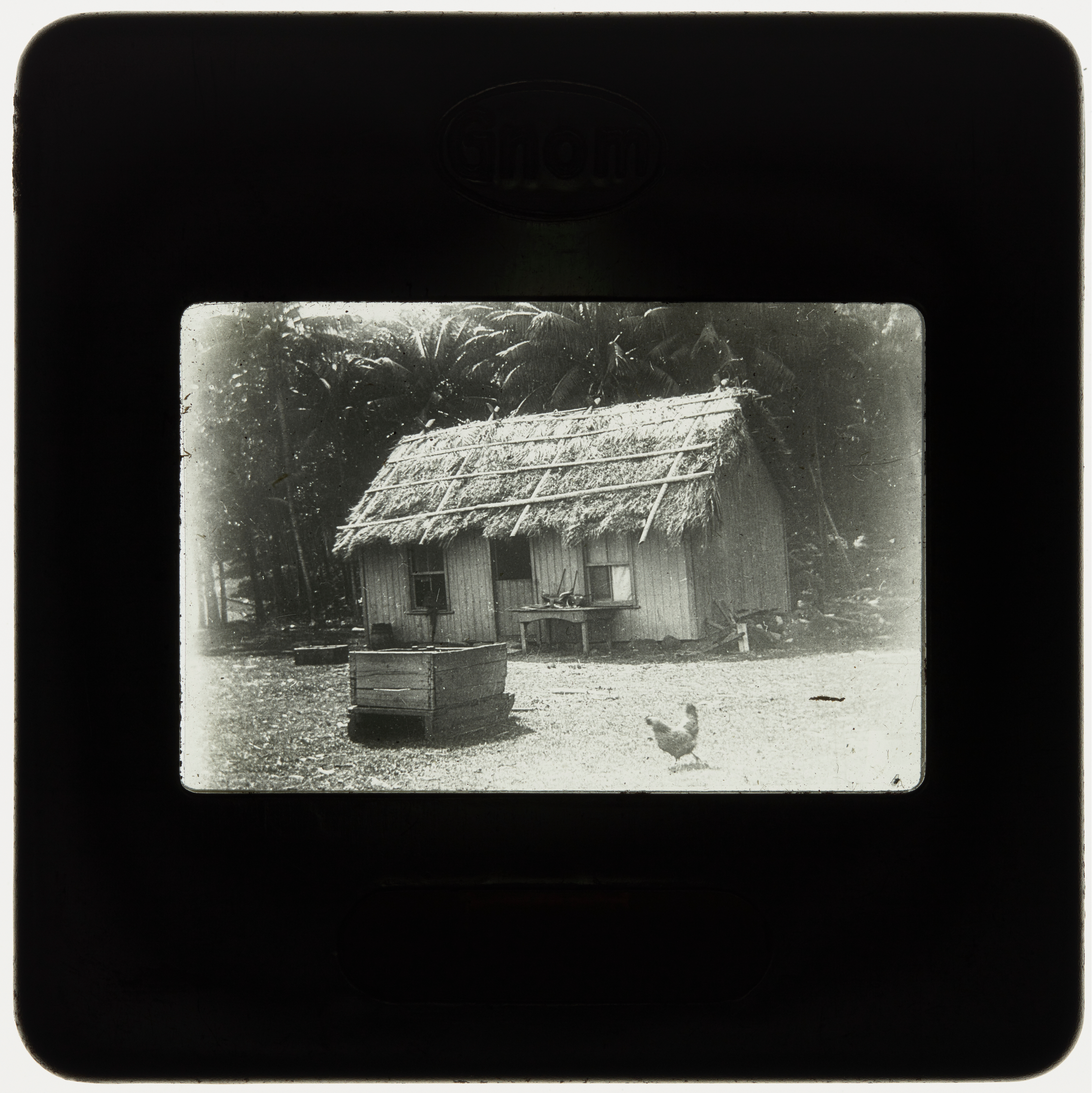 Wooden house with palm-thatched roof, Lord Howe Island