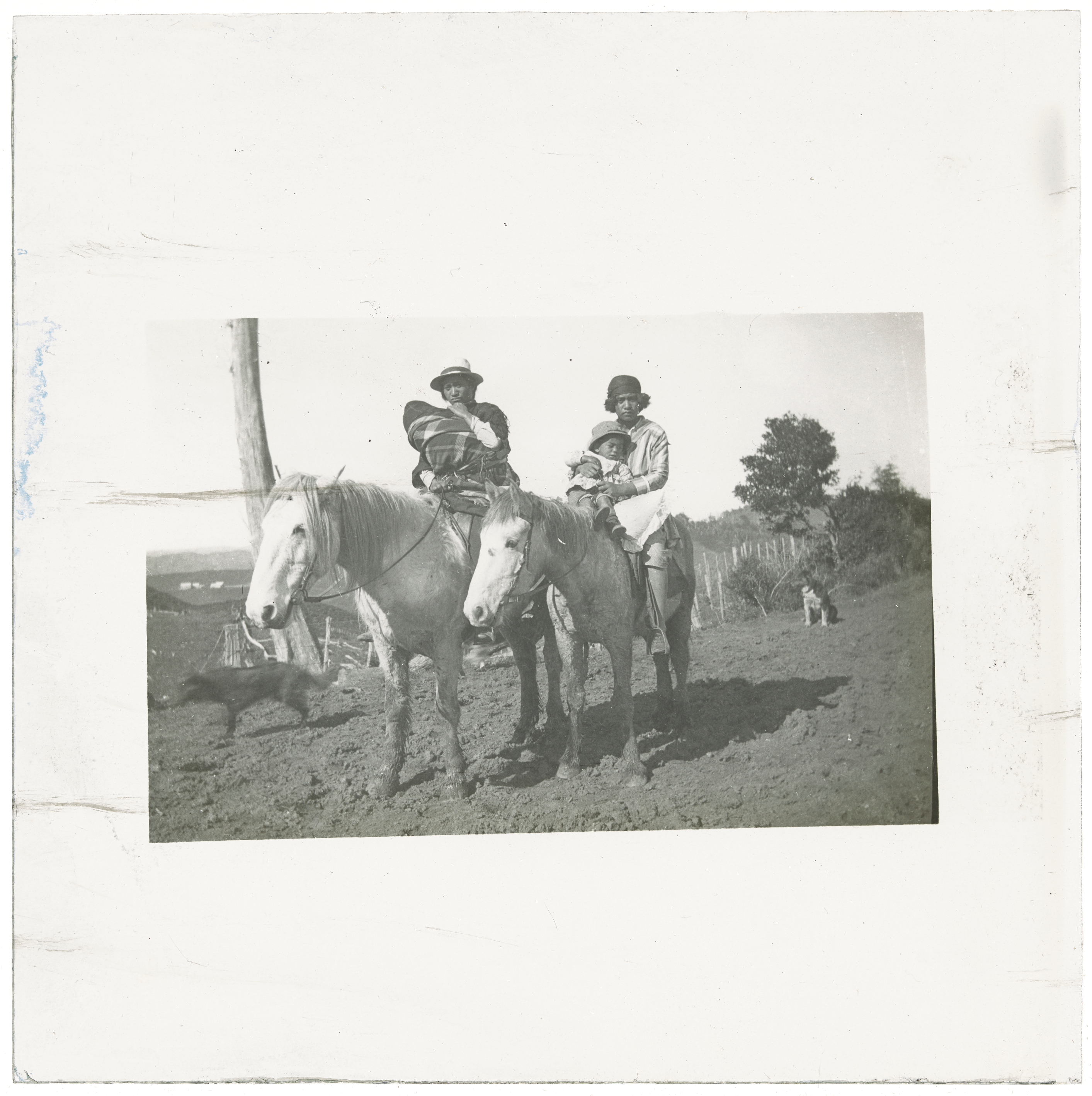 Maori family on horseback, New Zealand