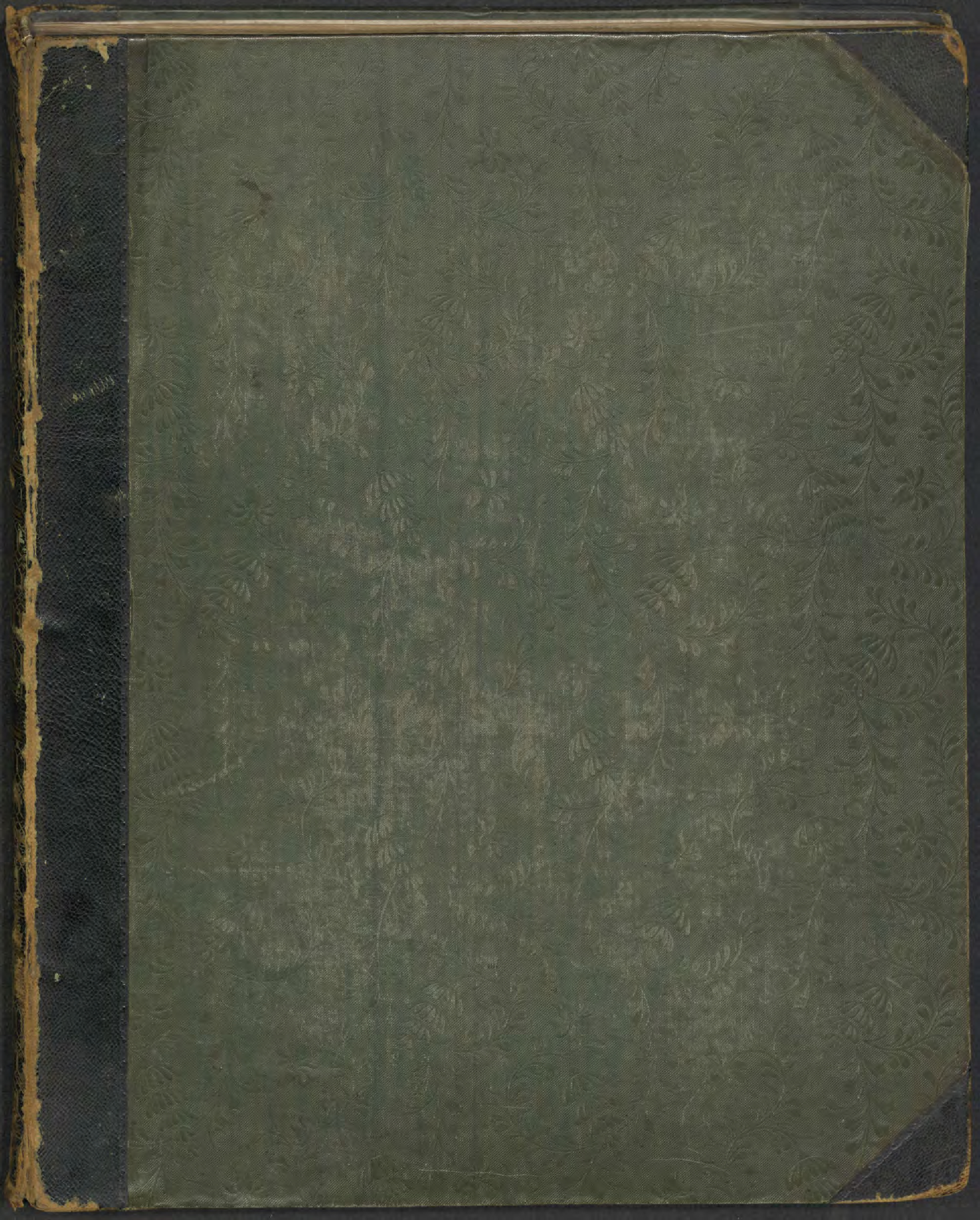 Album of seaweeds vol. 2