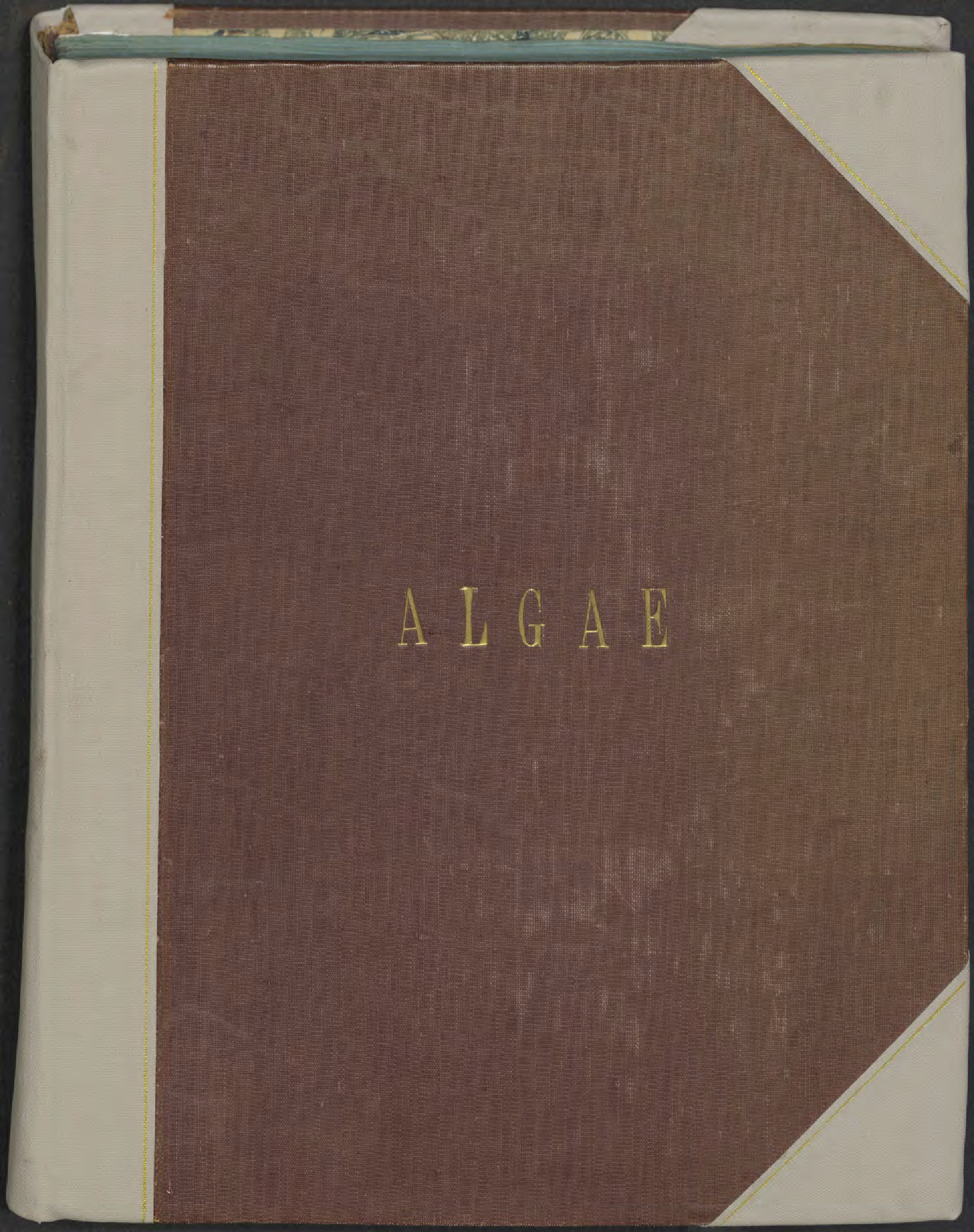 Algae specimens.