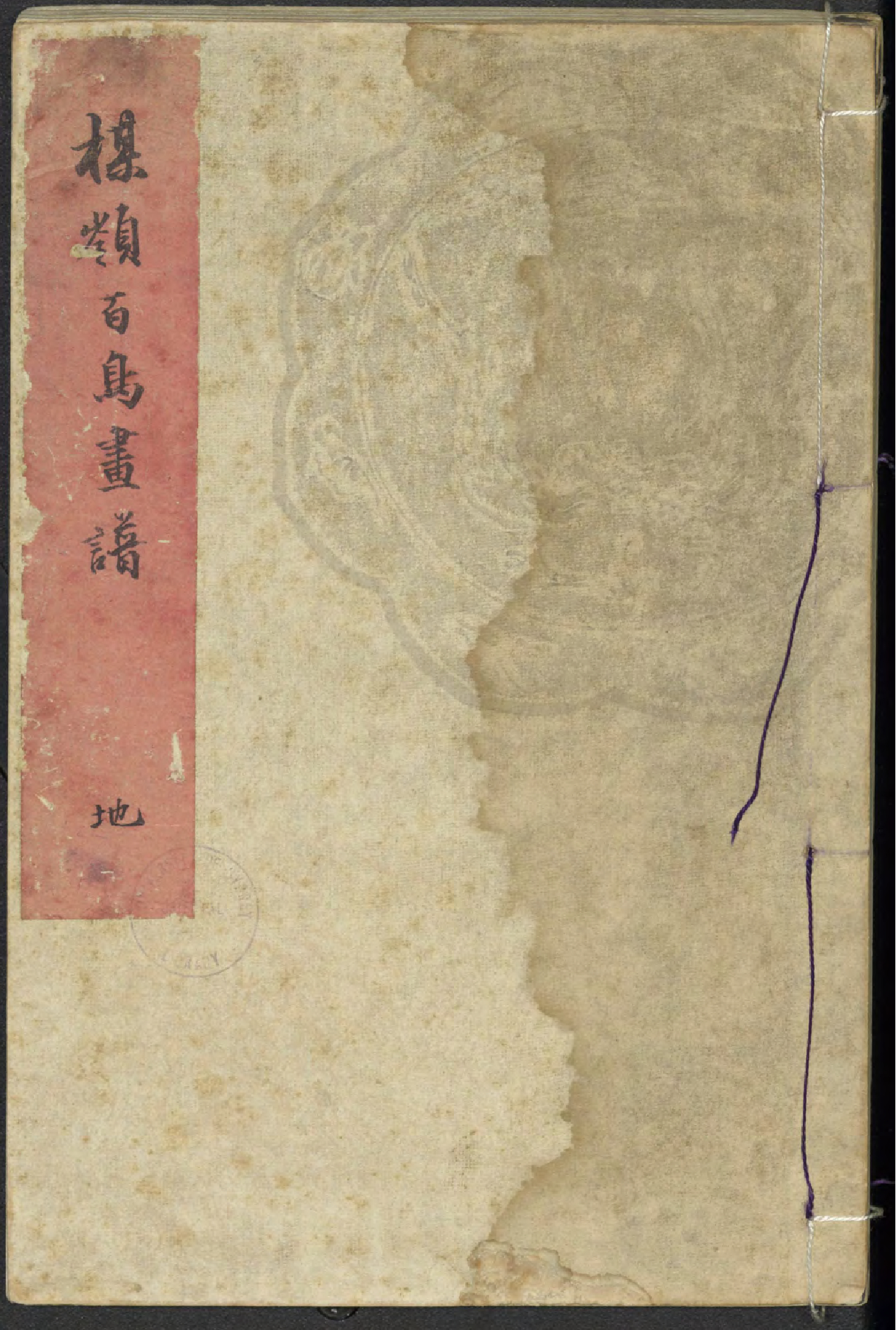 楳嶺百鳥畫譜 / 幸埜楳嶺編畫 (Bairei hyakuchō gafu) vol. 2