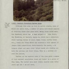 Survey Study of the First, Second, and Third Settlements on Norfolk Island. Part 2 of 2. [Colour version 11 of 28 pdfs]