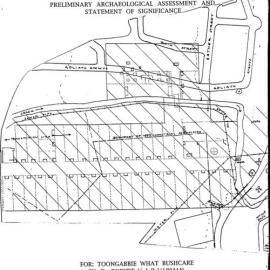 Toongabbie Government Farm and Town Site. Preliminary Archaeological Assessment and Statement of Significance.