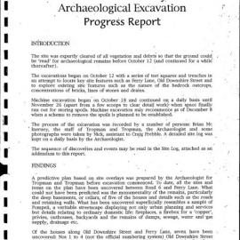 Walsh Bay Redevelopment. Downshire Street - Ferry Lane. Archaeological Excavation Progress Report.