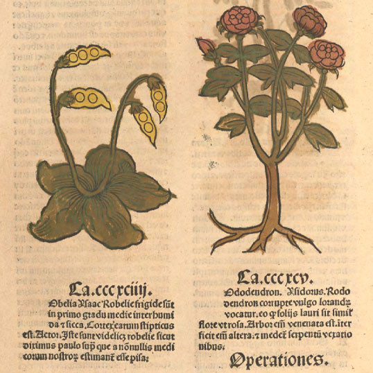 Ortus sanitatis
