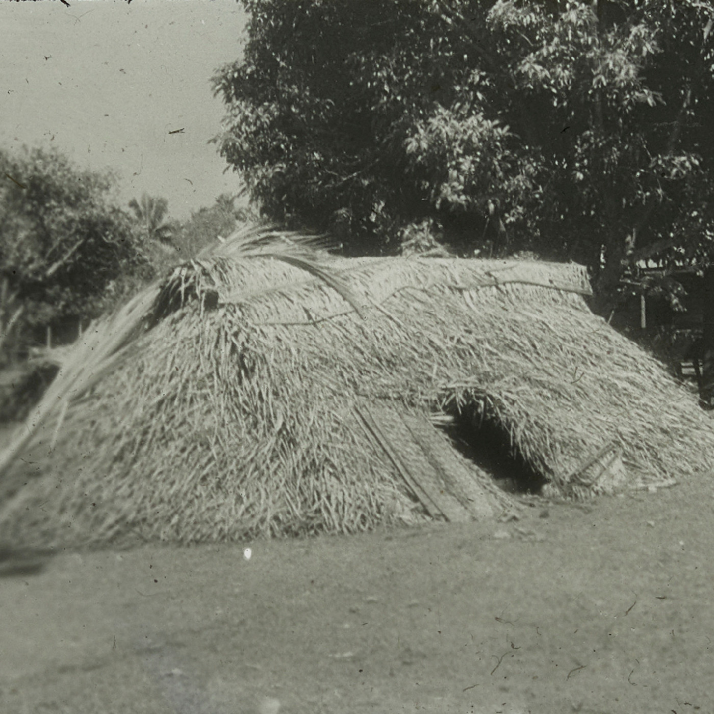 Traditional hut made of palm fronds at Namuka, Tonga