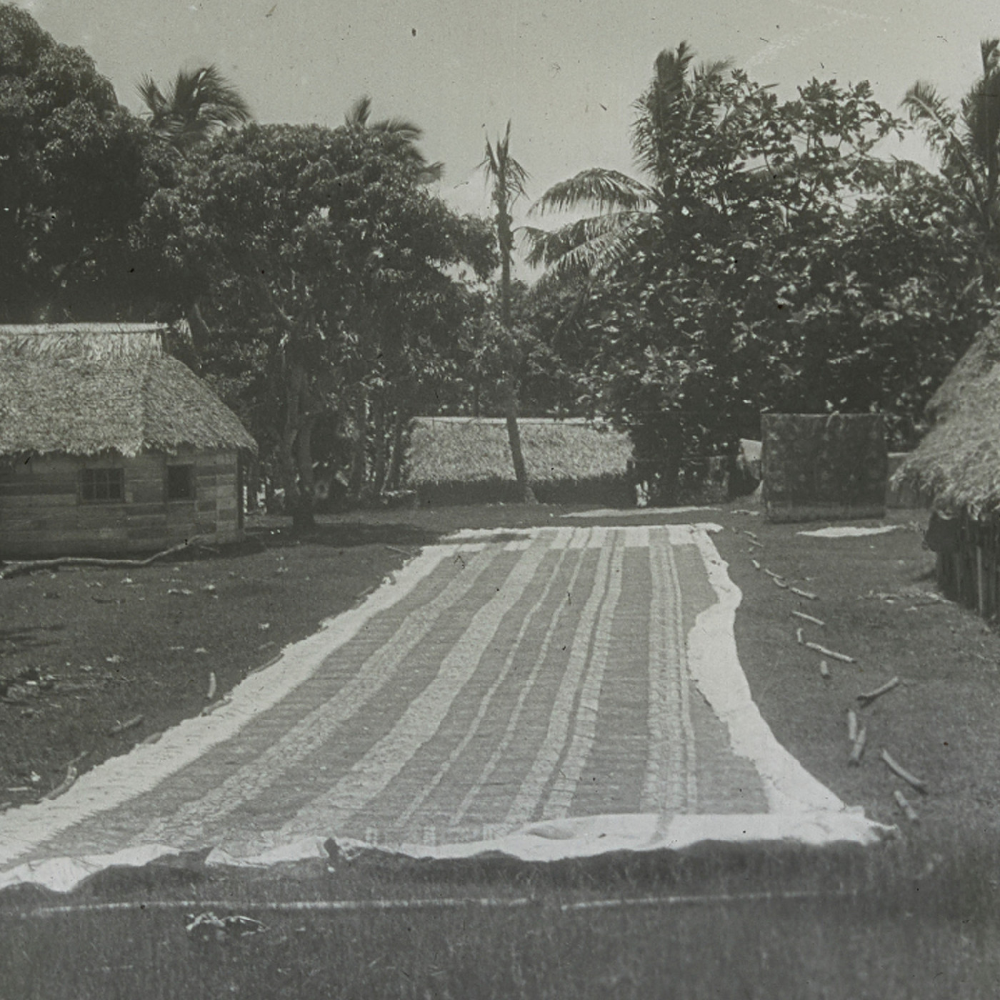 Strip of 'gatu' (traditional cloth), Tonga