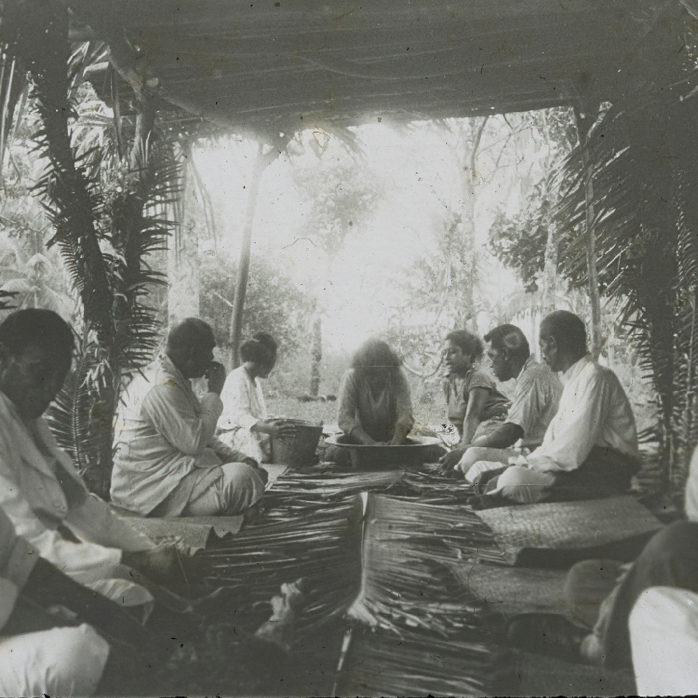 Island of Vavaʻu feast, Tonga