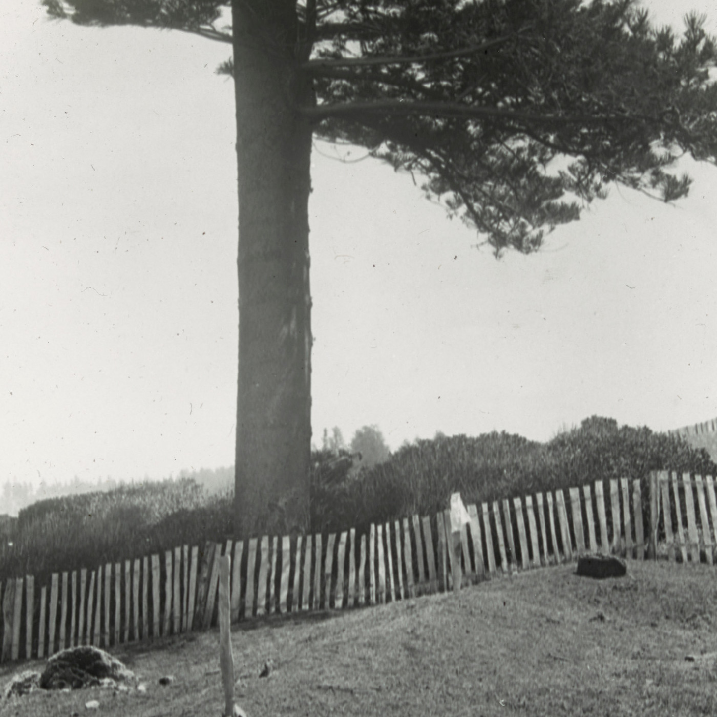 Murderers’ Mound at Kingston, Norfolk Island