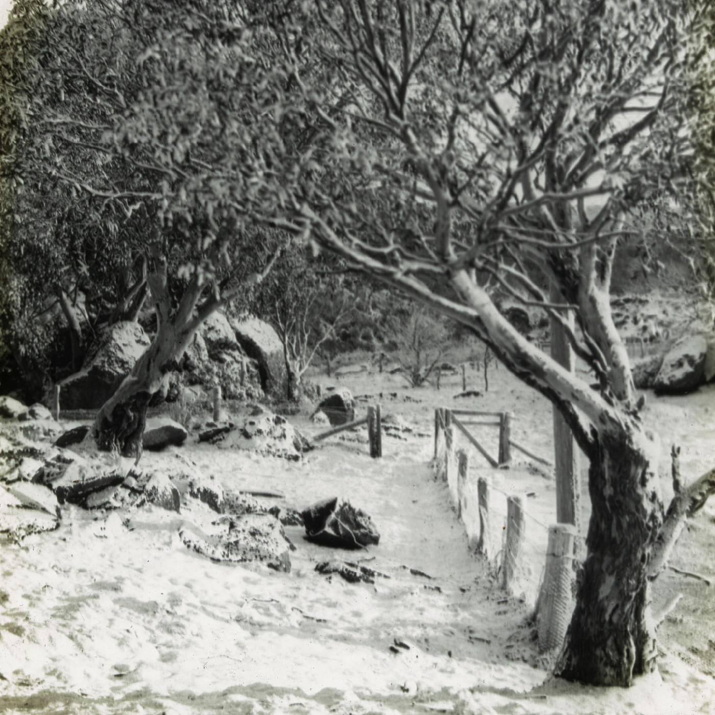 Snowy landscape (Mt Kosciuszko NSW)