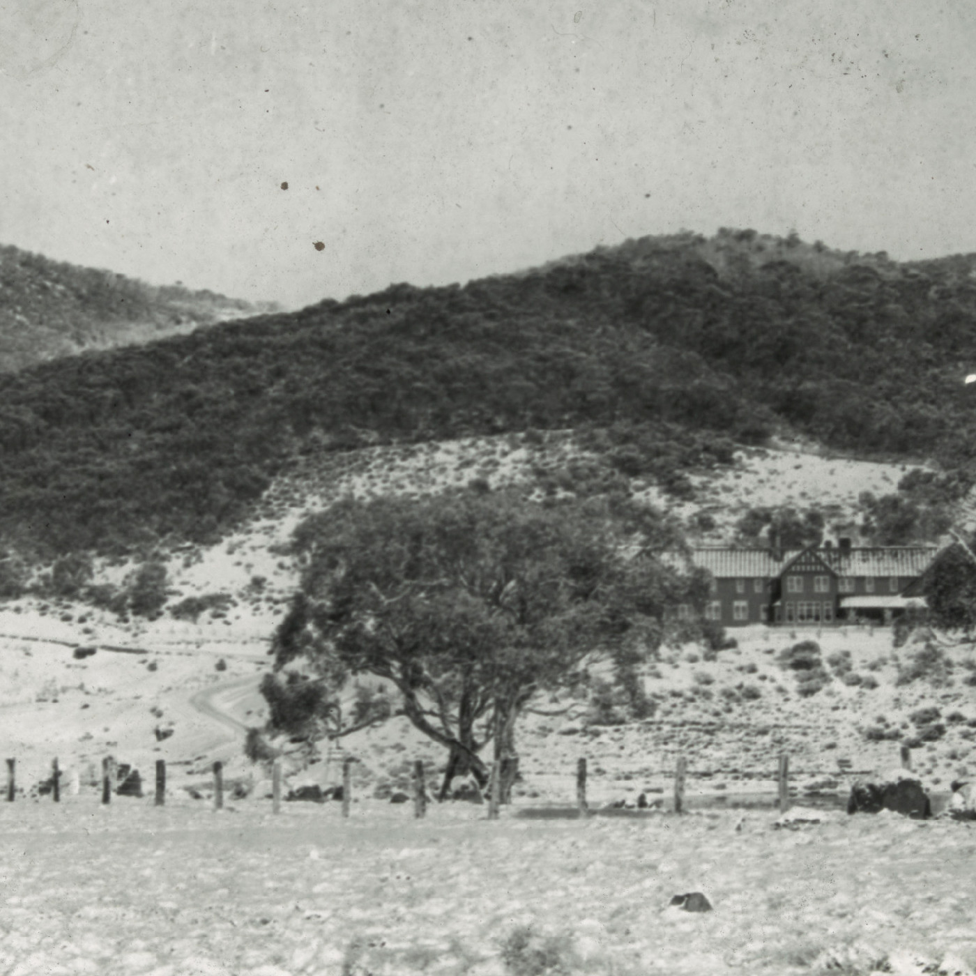 Pasture covered in snow (Mt Kosciuszko NSW)