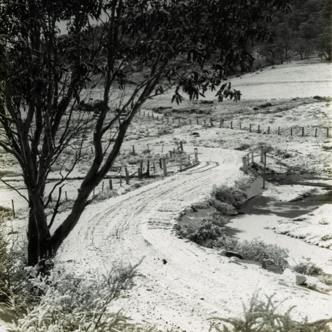 Winding road with snow (Mt Kosciuszko NSW)