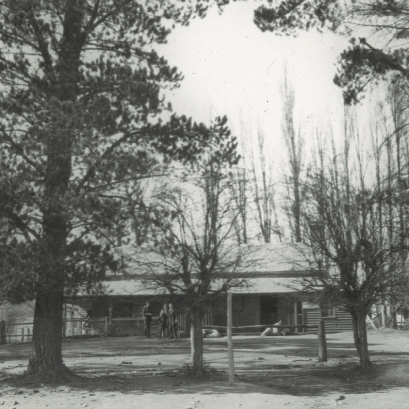 House partially hidden by trees