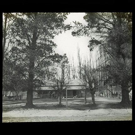 House partially hidden by trees