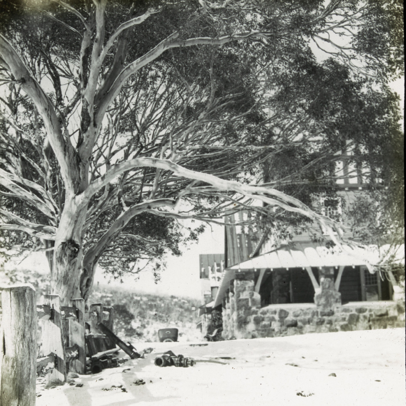 Gumtree and house in the snow (Hotel Kosciusko NSW)
