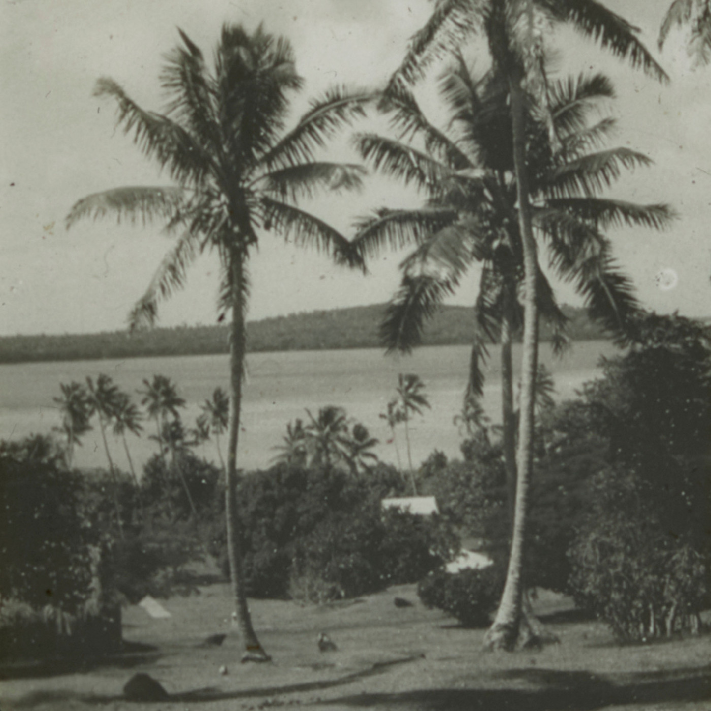 Vavaʻu harbour, Tonga