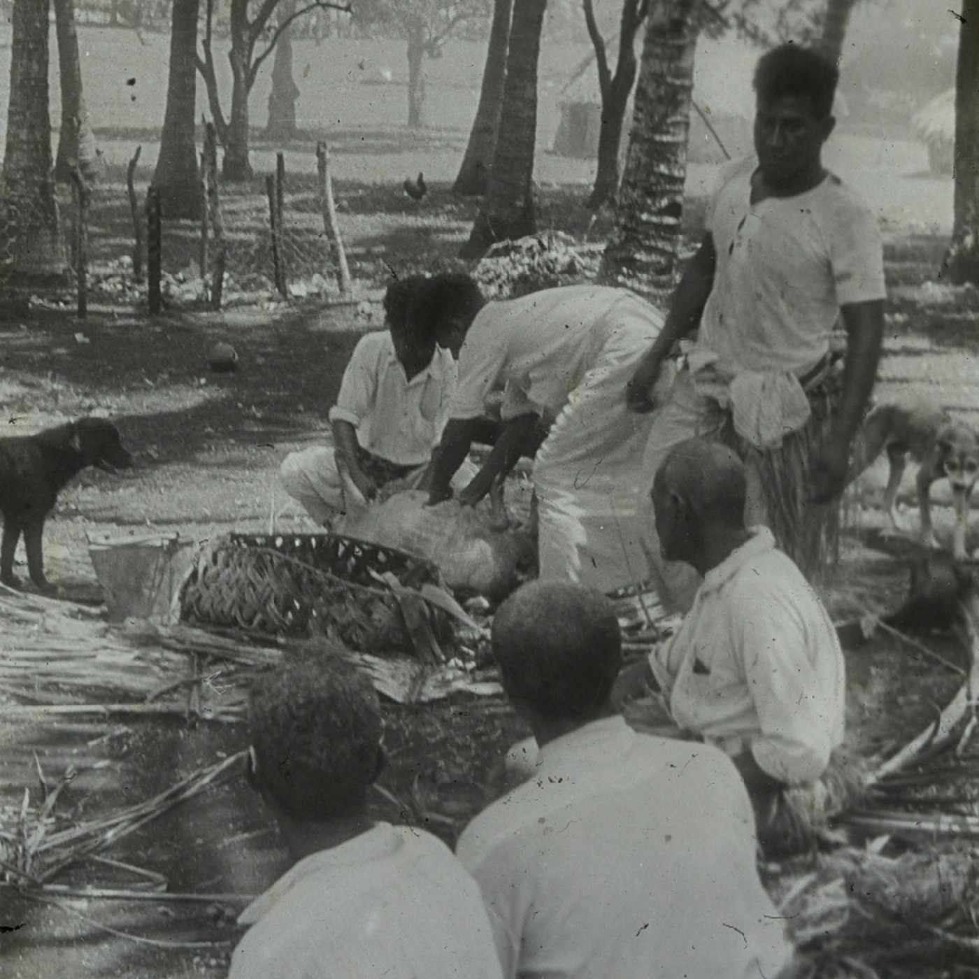 Preparing the food, Nomuka, Tonga