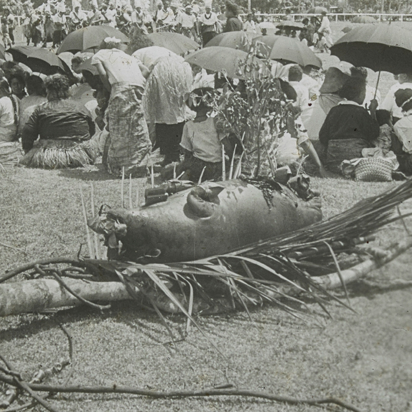 Ceremonial feast, Tonga