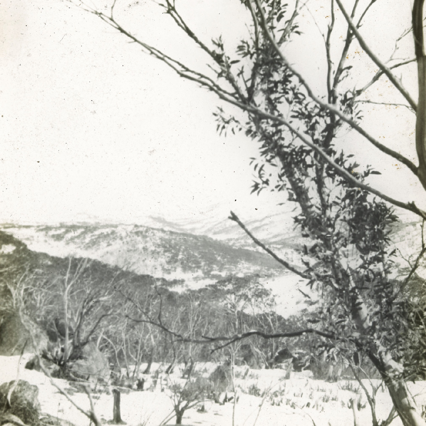 Snowy hills (Mt Kosciuszko NSW)