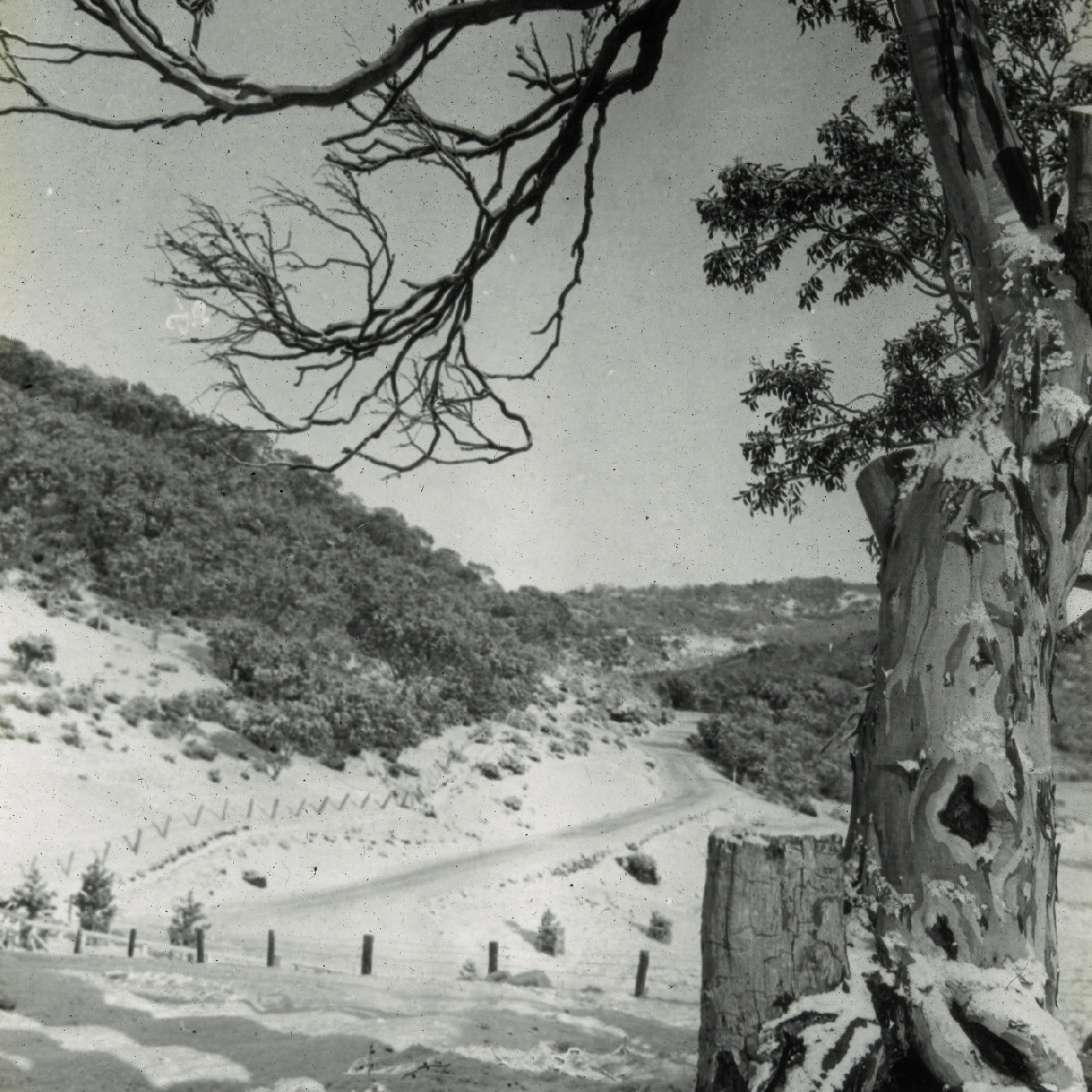 Road in snowy landscape (Mt Kosciuszko NSW)