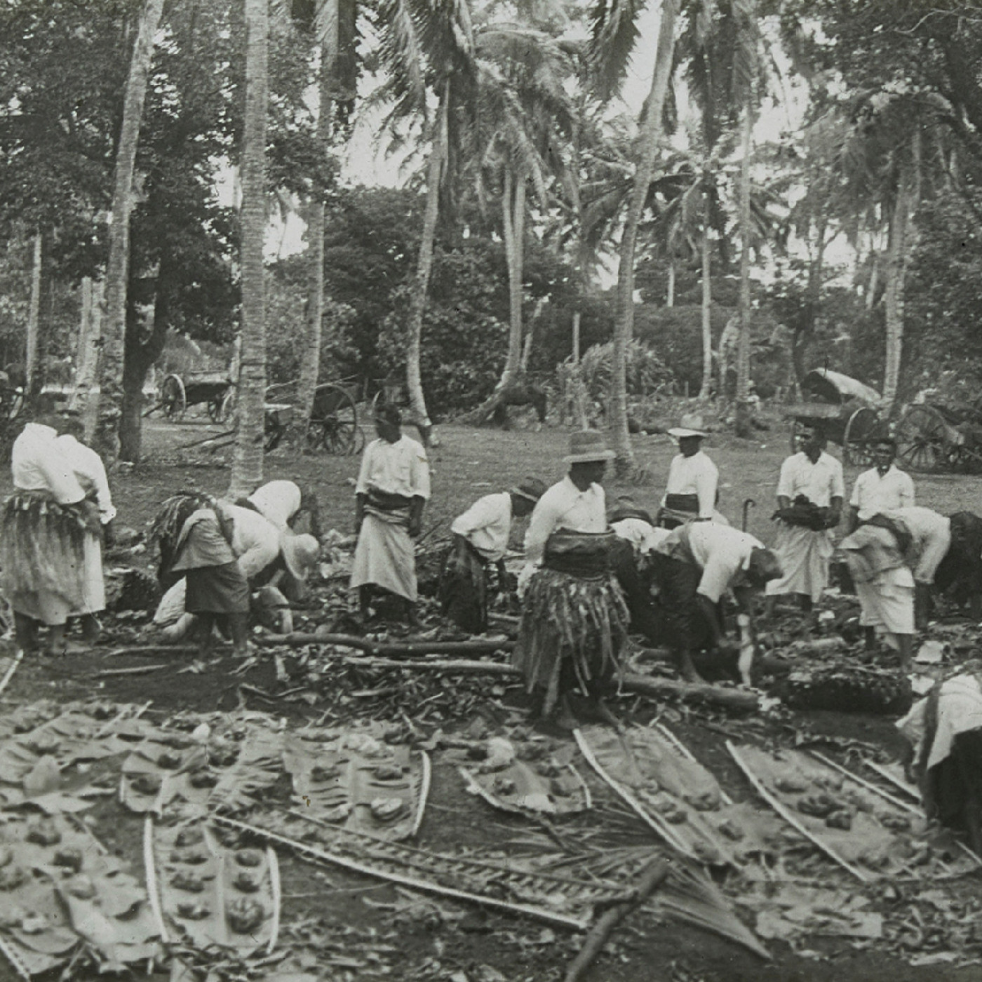 Food preparations 