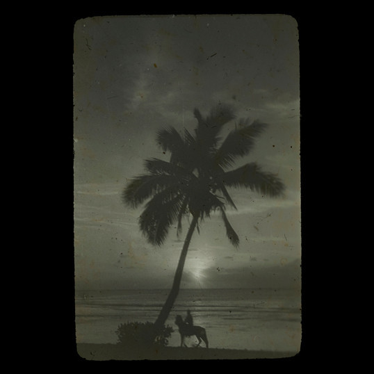 Silhouette of person on a horse