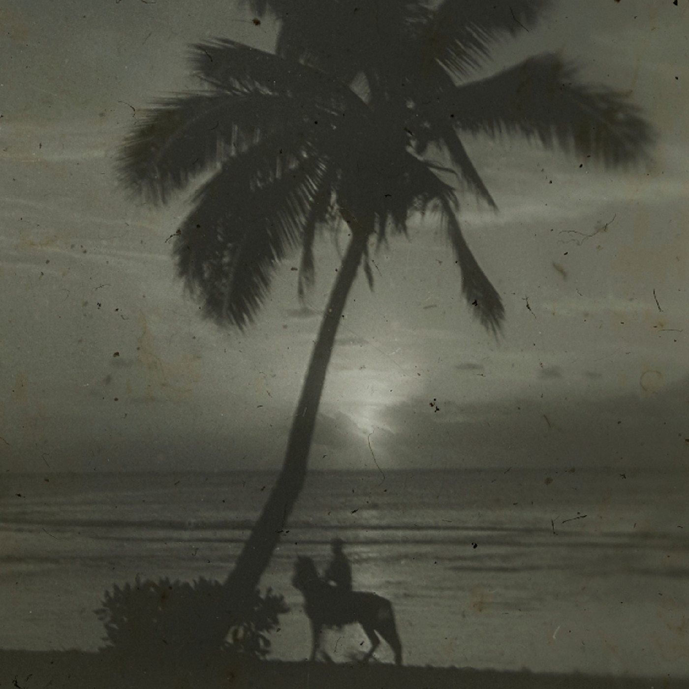 Silhouette of person on a horse