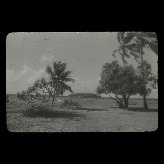 Grassy shore with island in the distance