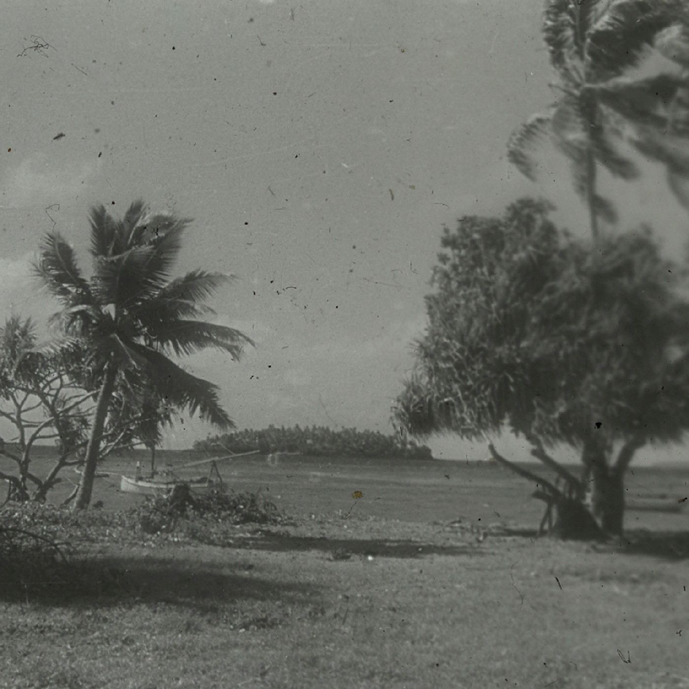 Grassy shore with island in the distance