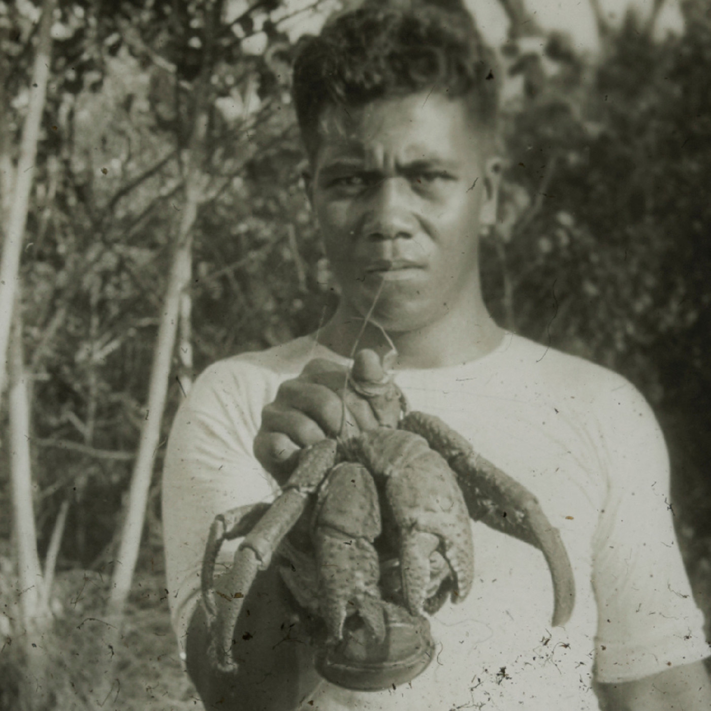 Person holding up crustacean