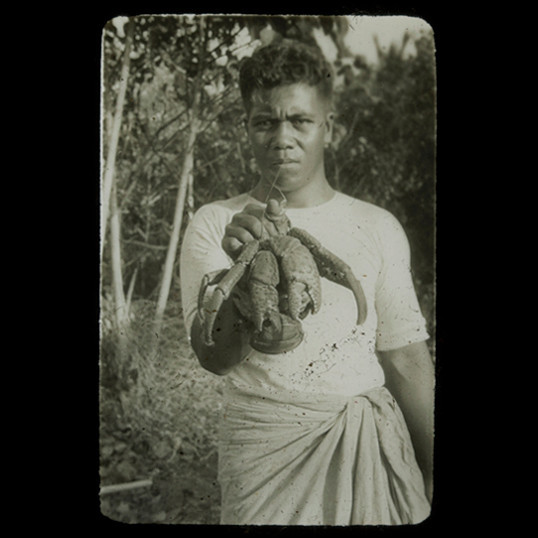 Person holding up crustaceans