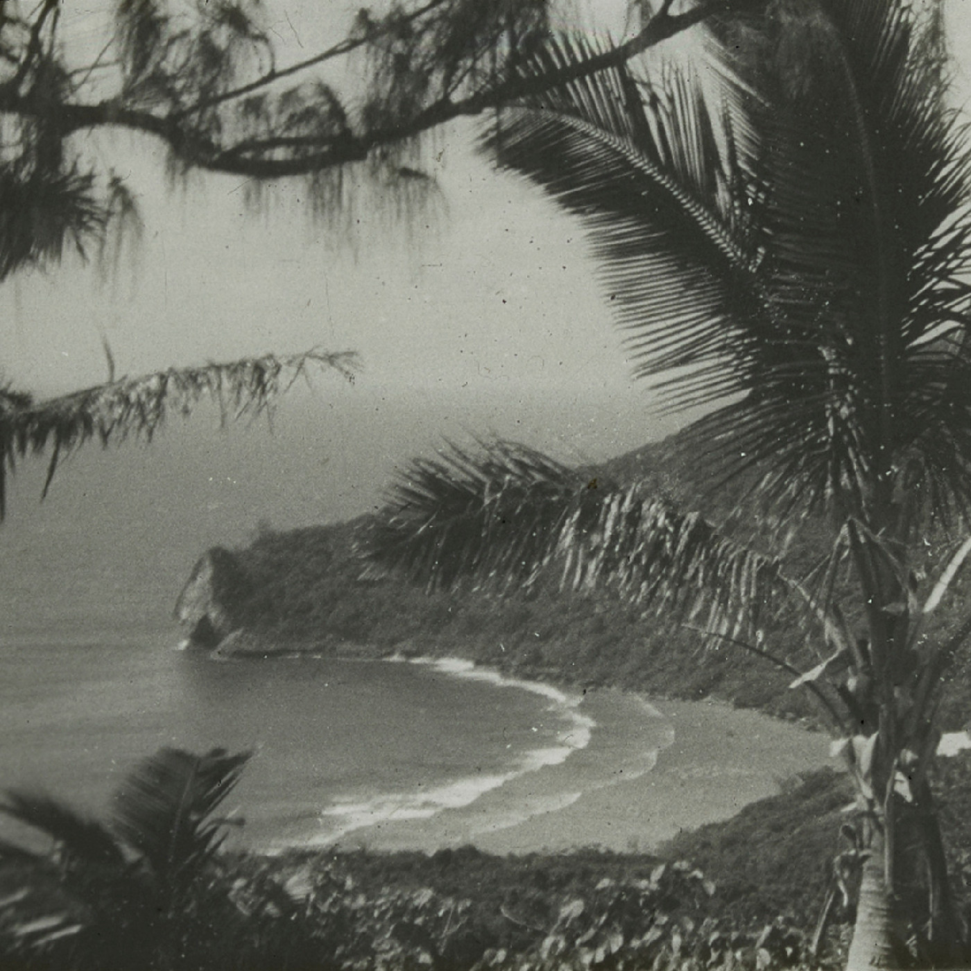 View of tropical beach